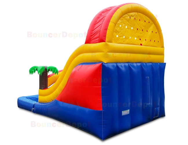 15 Ft Dual Water Slide